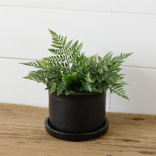 Black Pottery Planter - The Brass Bee