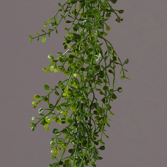 Baby Tears Garland - The Brass Bee