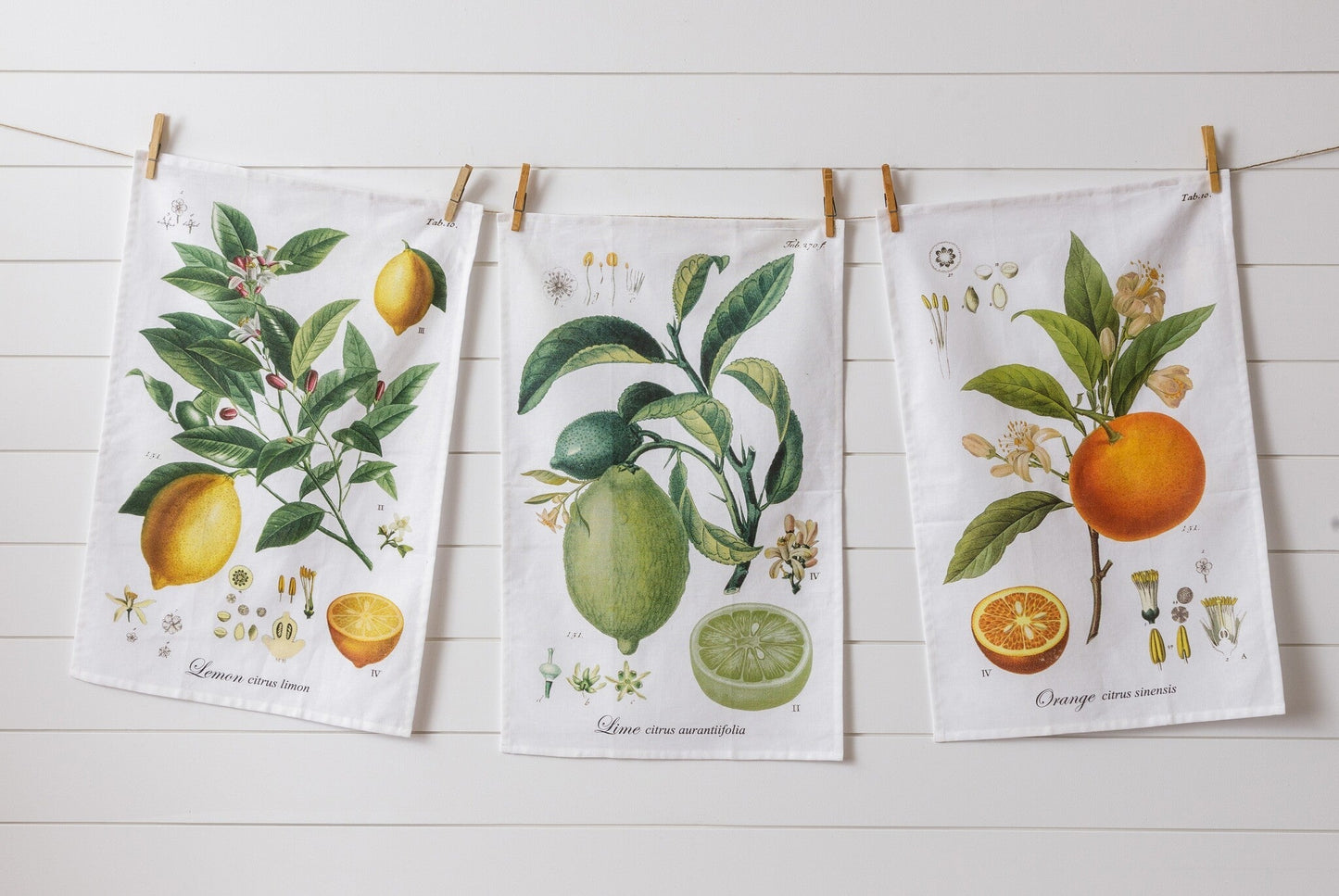Botanical Fruits Tea Towel Trio - The Brass Bee