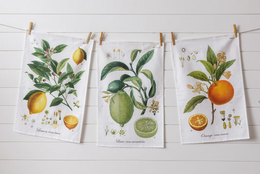 Botanical Fruits Tea Towel Trio - The Brass Bee