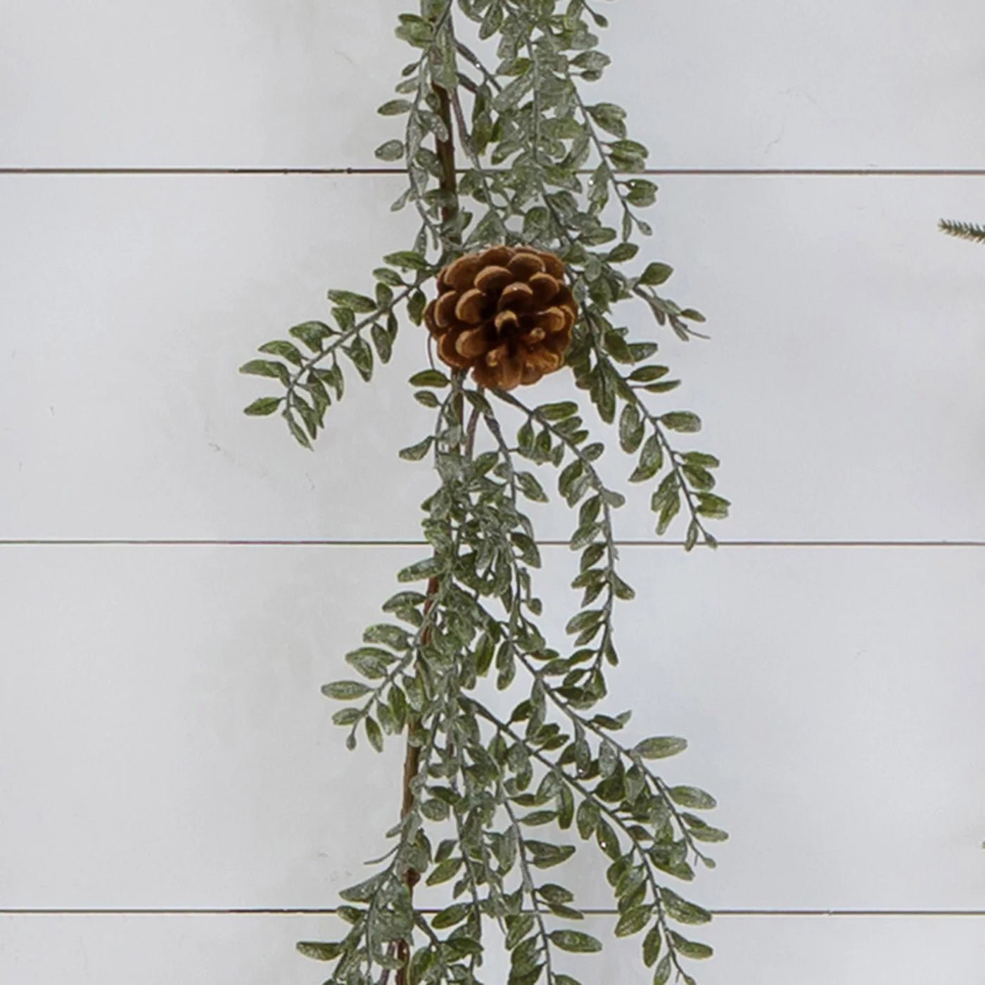 Frosted Boxwood 60" Garland - The Brass Bee