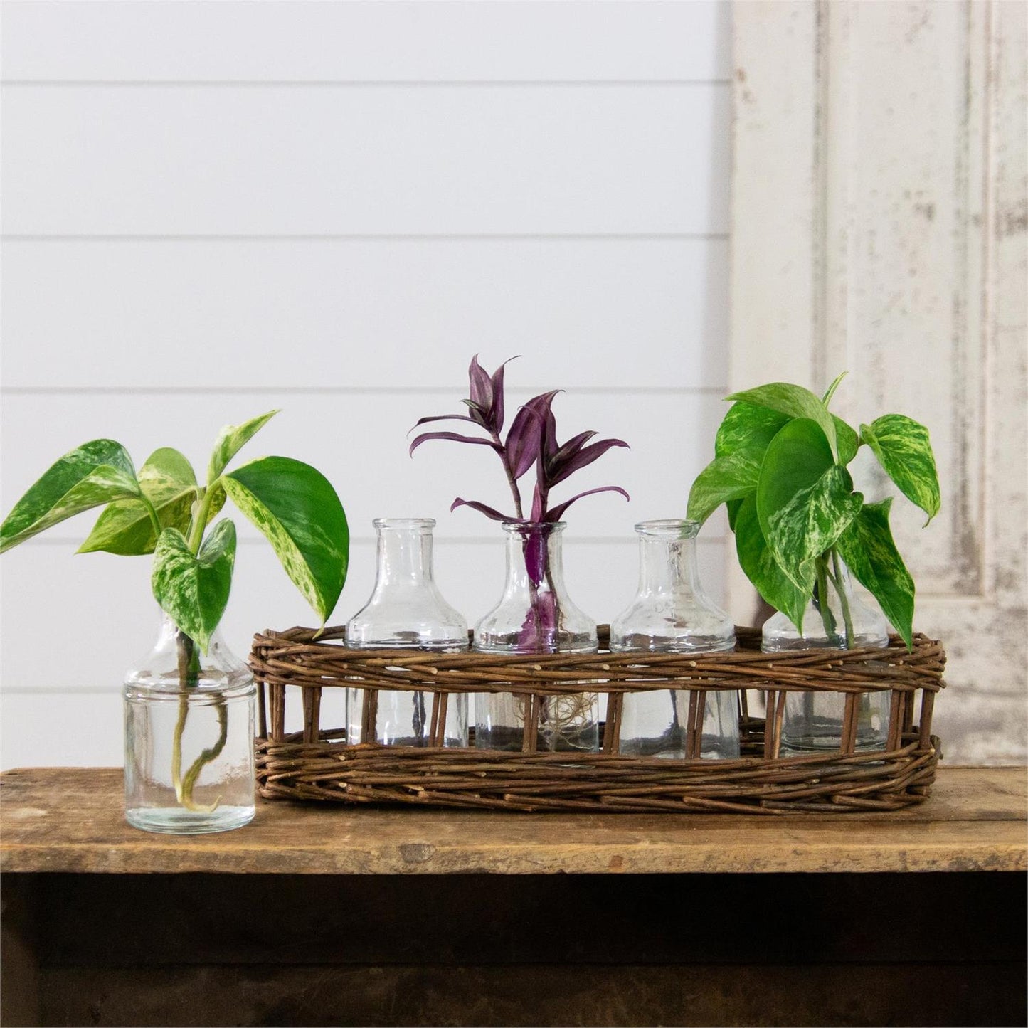 Wicker Basket with Glass Vases - The Brass Bee