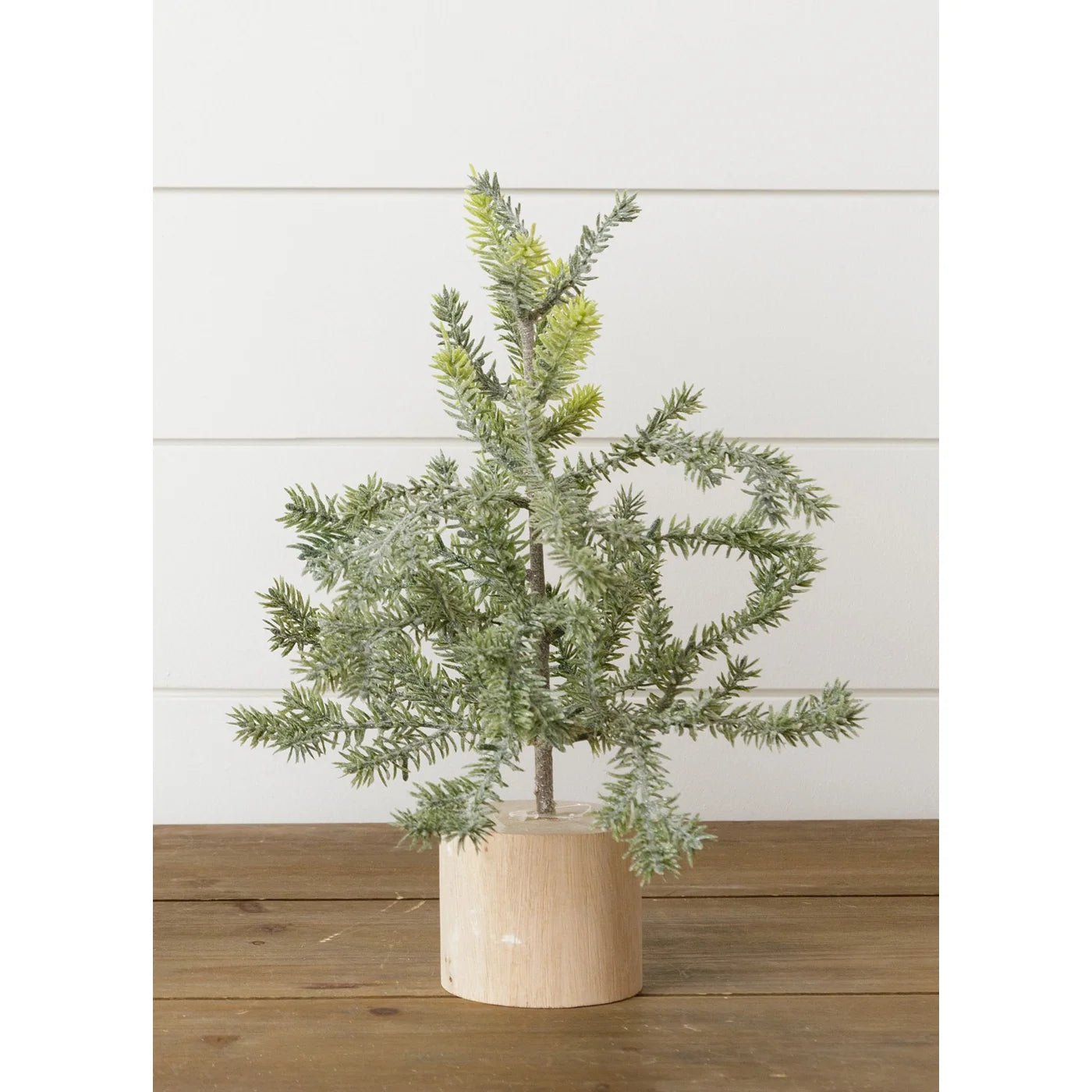 Frosted Pine in Wooden Base, 12" - The Brass Bee